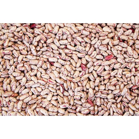 Commodity Beans Commodity Triple Clean Pinto Beans 20lbs 232922